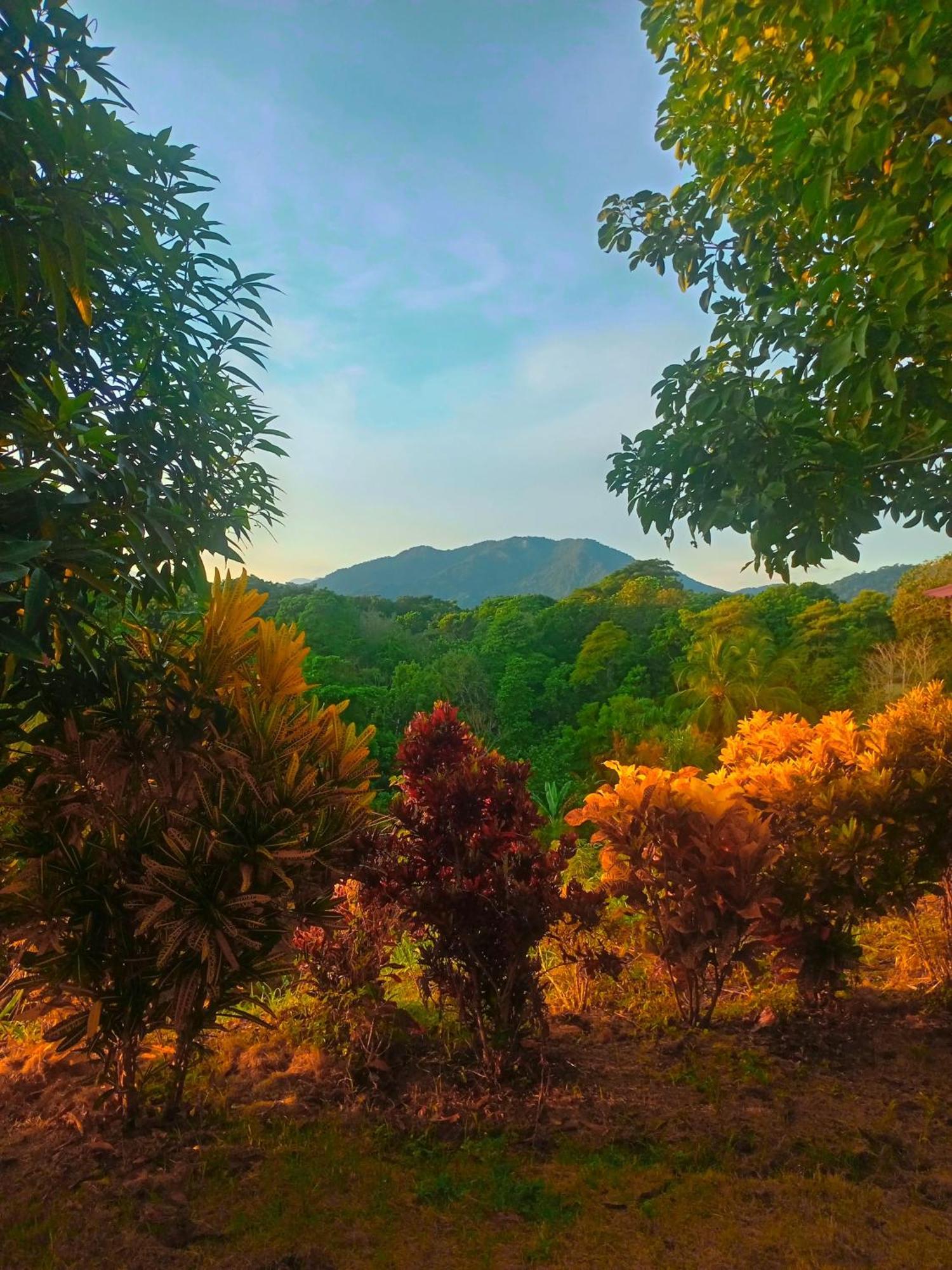Casa Tolosa Tayrona, Los Cocos La Poza Exterior foto